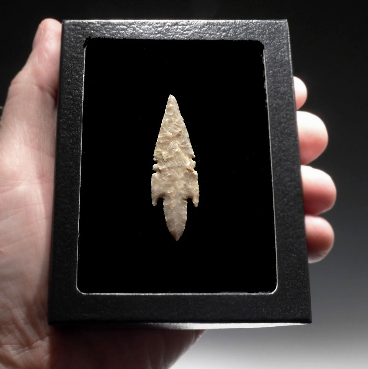 FINEST LONG TANGED DOUBLE NOTCHED ARROWHEAD OF THE CAPSIAN AFRICAN NEOLITHIC  *CAP259