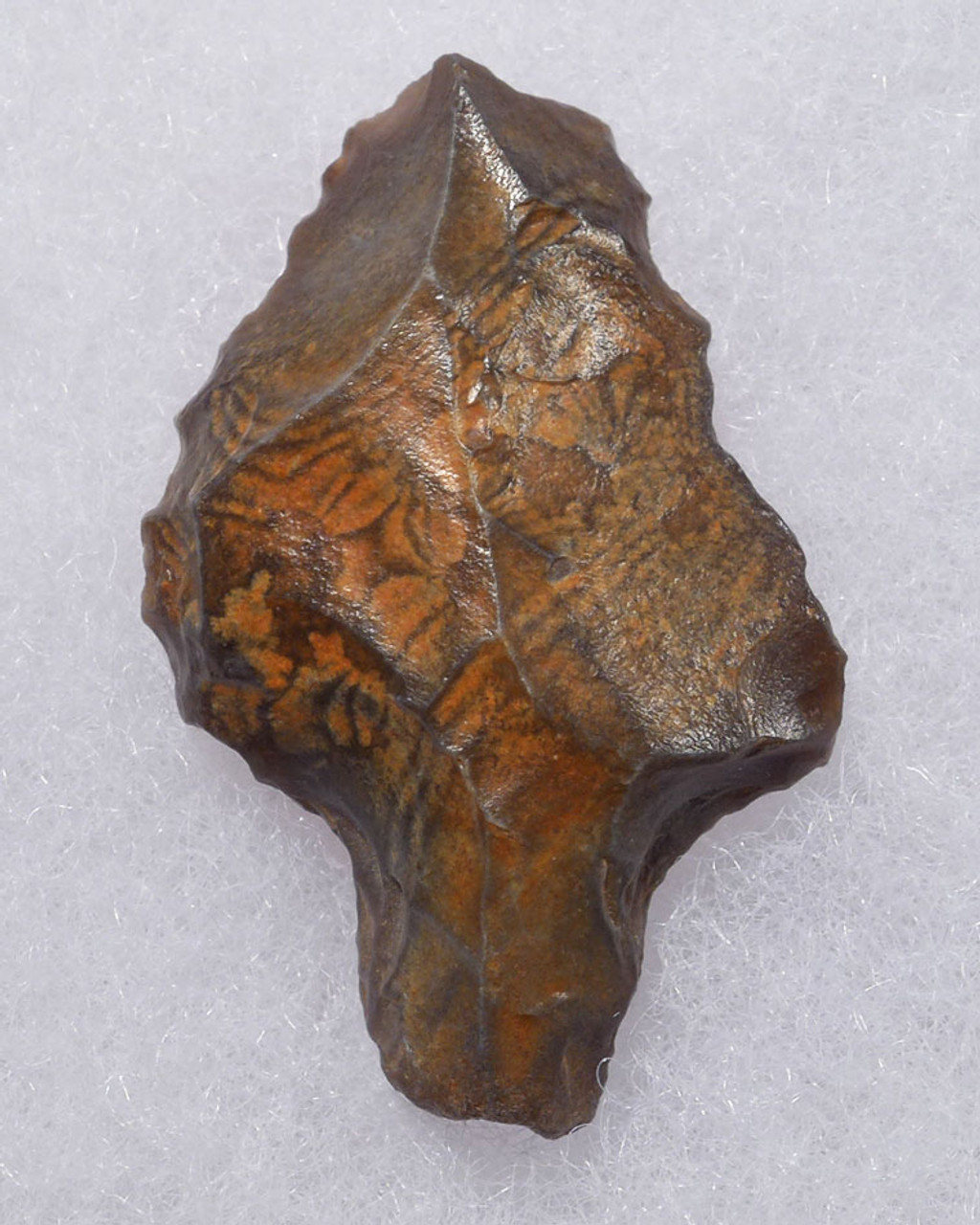 EARLIEST KNOWN TANGED ARROWHEAD OF RARE PETRIFIED WOOD - MIDDLE PALEOLITHIC ATERIAN POINT *AT103