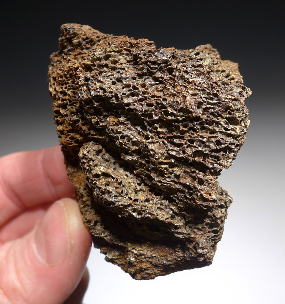 REAL T REX TYRANNOSAURUS BONE DINOSAUR FOSSIL FRAGMENT FROM HELL
