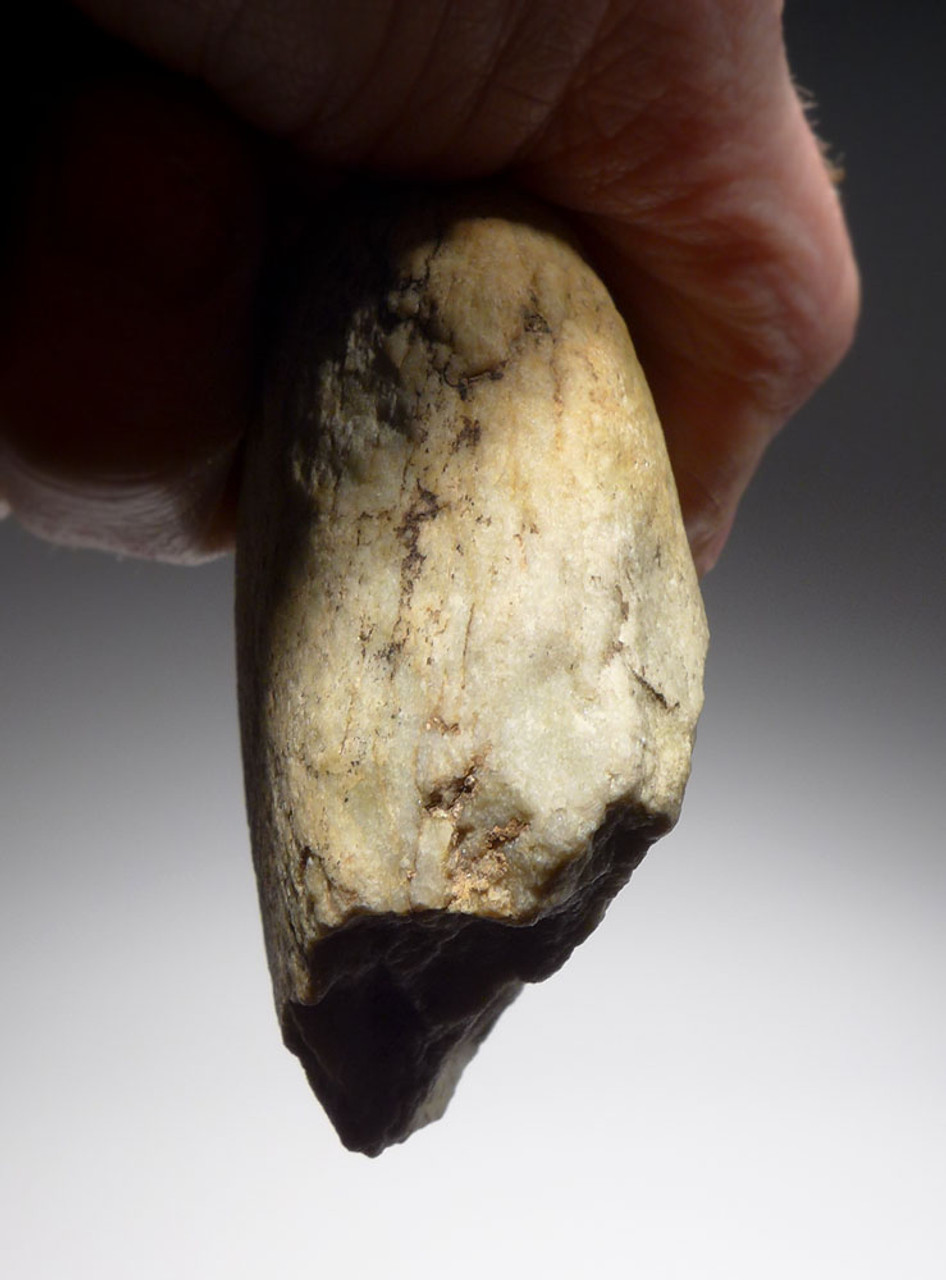 CLASSIC HOMO ERECTUS OLDOWAN PEBBLE CHOPPER AXE FROM REGION OF EARLIEST HUMANS IN EUROPE  *PB150