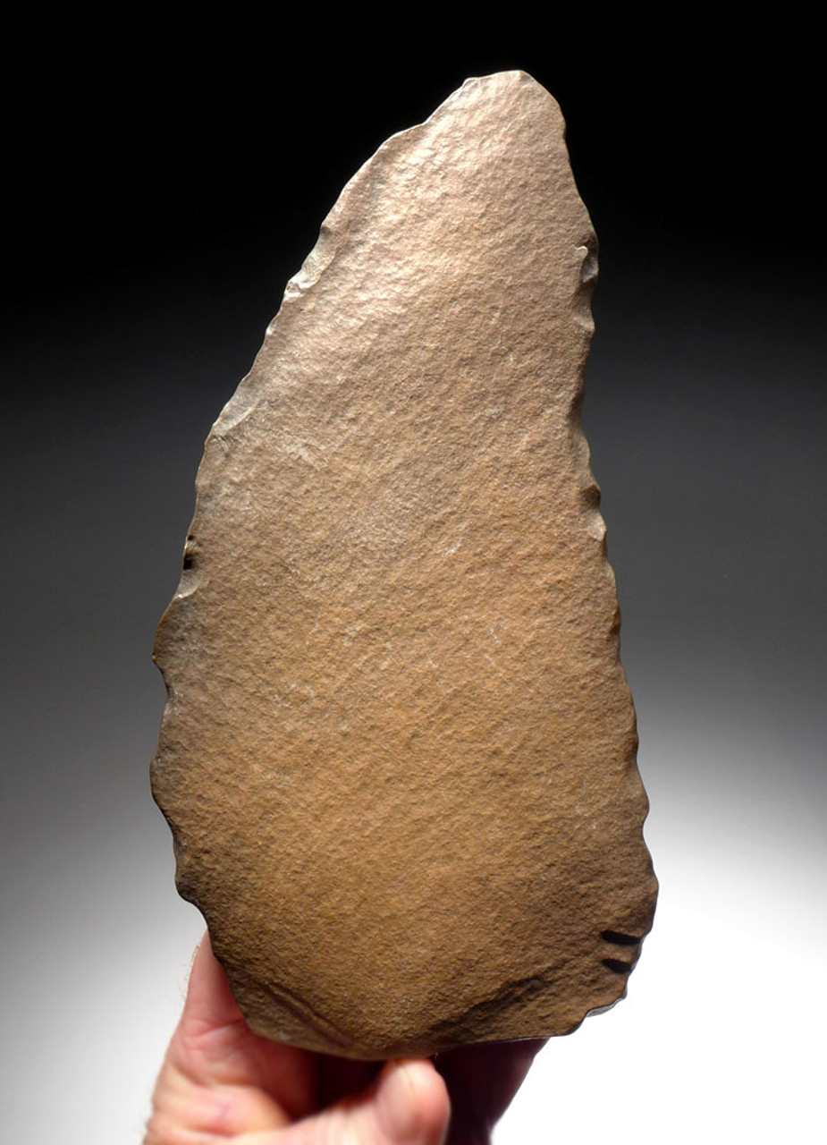 FINEST LARGE ACHEULEAN CONVERGENT SCRAPER BLADE MADE BY HOMO ERGASTER  FROM THE AFRICAN LOWER PALEOLITHIC  *ACH417