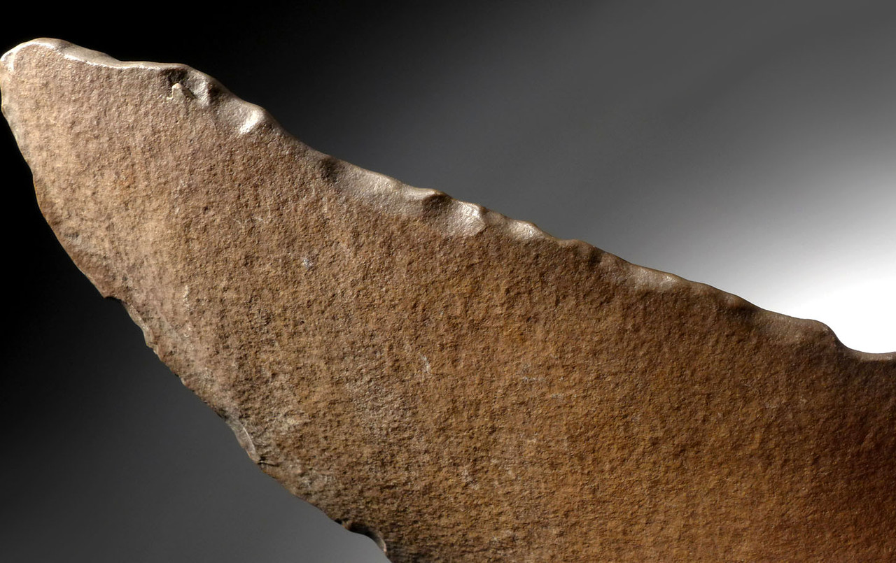 FINEST LARGE ACHEULEAN CONVERGENT SCRAPER BLADE MADE BY HOMO ERGASTER  FROM THE AFRICAN LOWER PALEOLITHIC  *ACH417