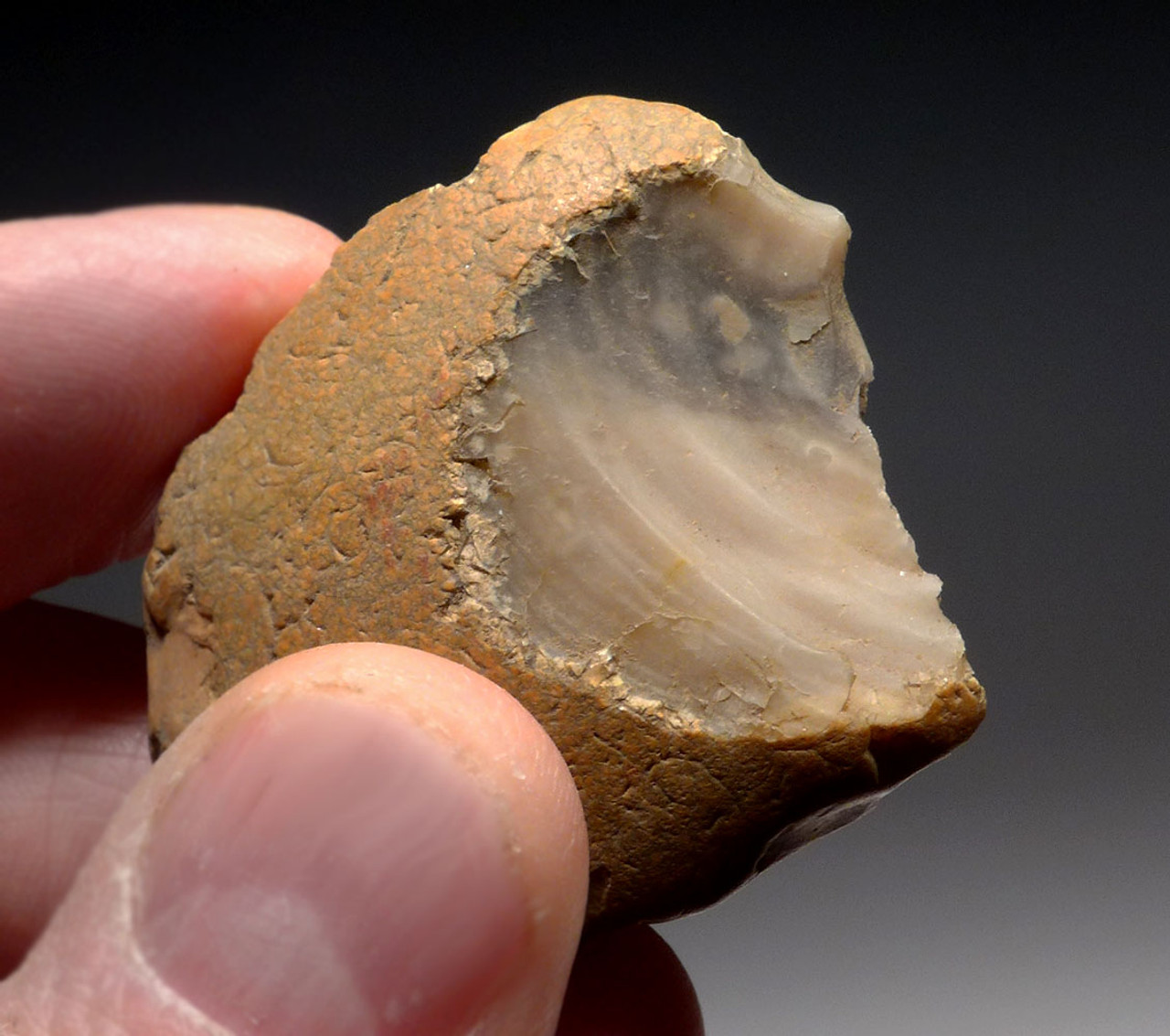 PREHISTORIC ENGLAND HOMO ANTECESSOR OLDOWAN PEBBLE TOOL SCRAPER FROM FAMOUS HAPPISBURGH FOOTPRINTS REGION  *PB153