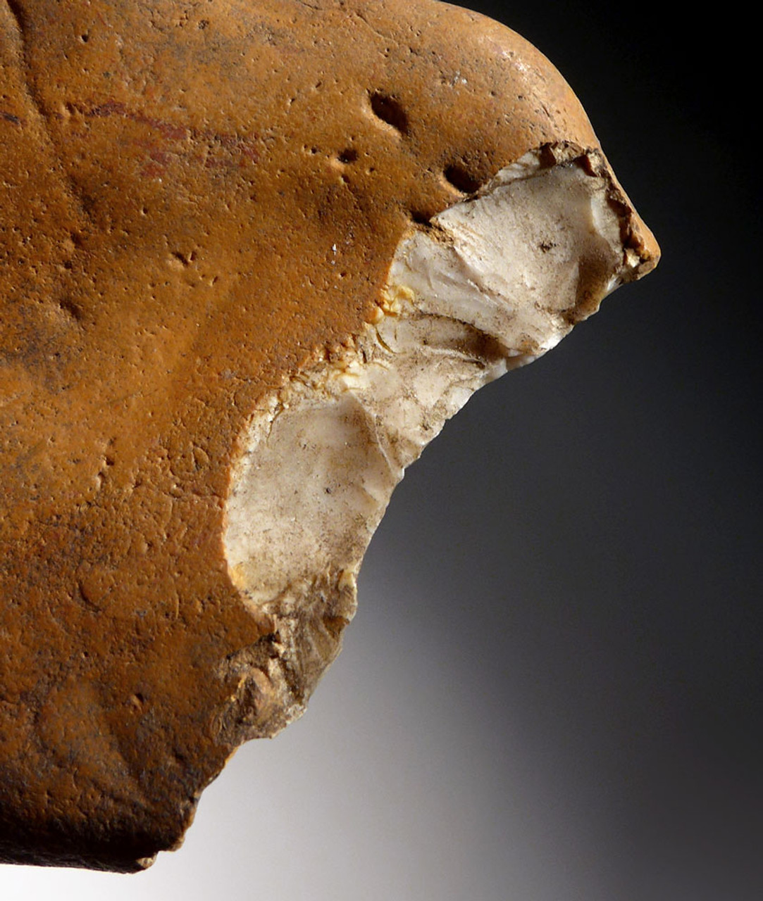 RARE BRITISH OLDOWAN PEBBLE TOOL FROM REGION OF OLDEST HUMAN FOOTPRINTS OUTSIDE OF AFRICA  *PB161