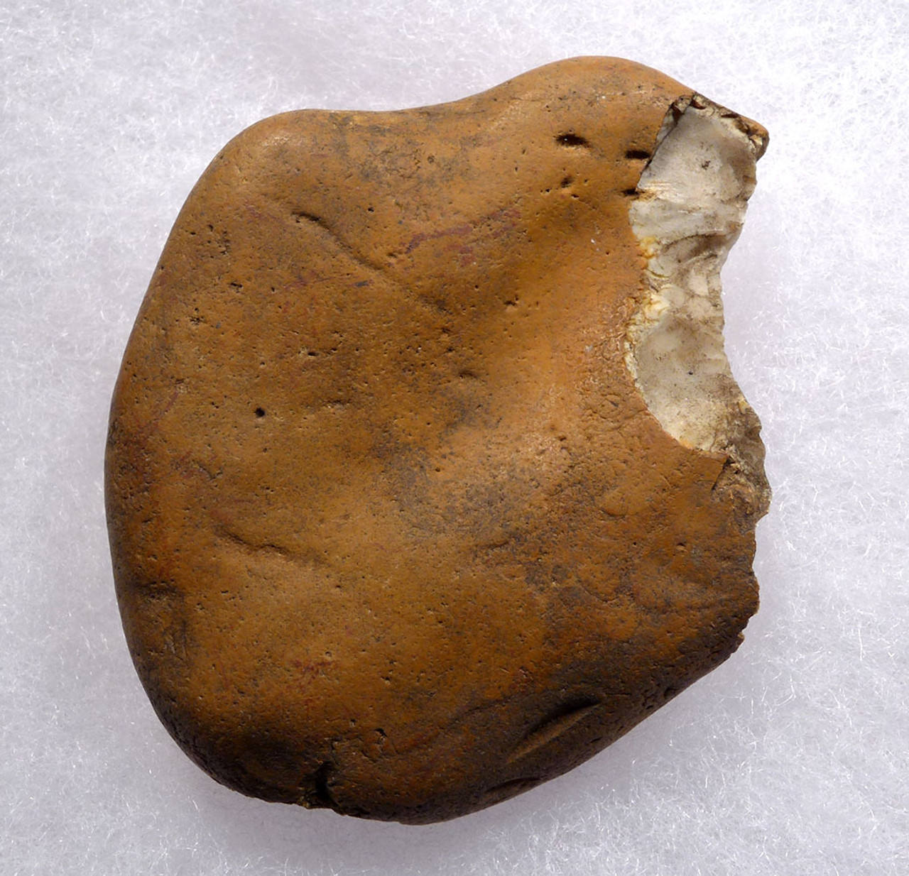 RARE BRITISH OLDOWAN PEBBLE TOOL FROM REGION OF OLDEST HUMAN FOOTPRINTS OUTSIDE OF AFRICA  *PB161