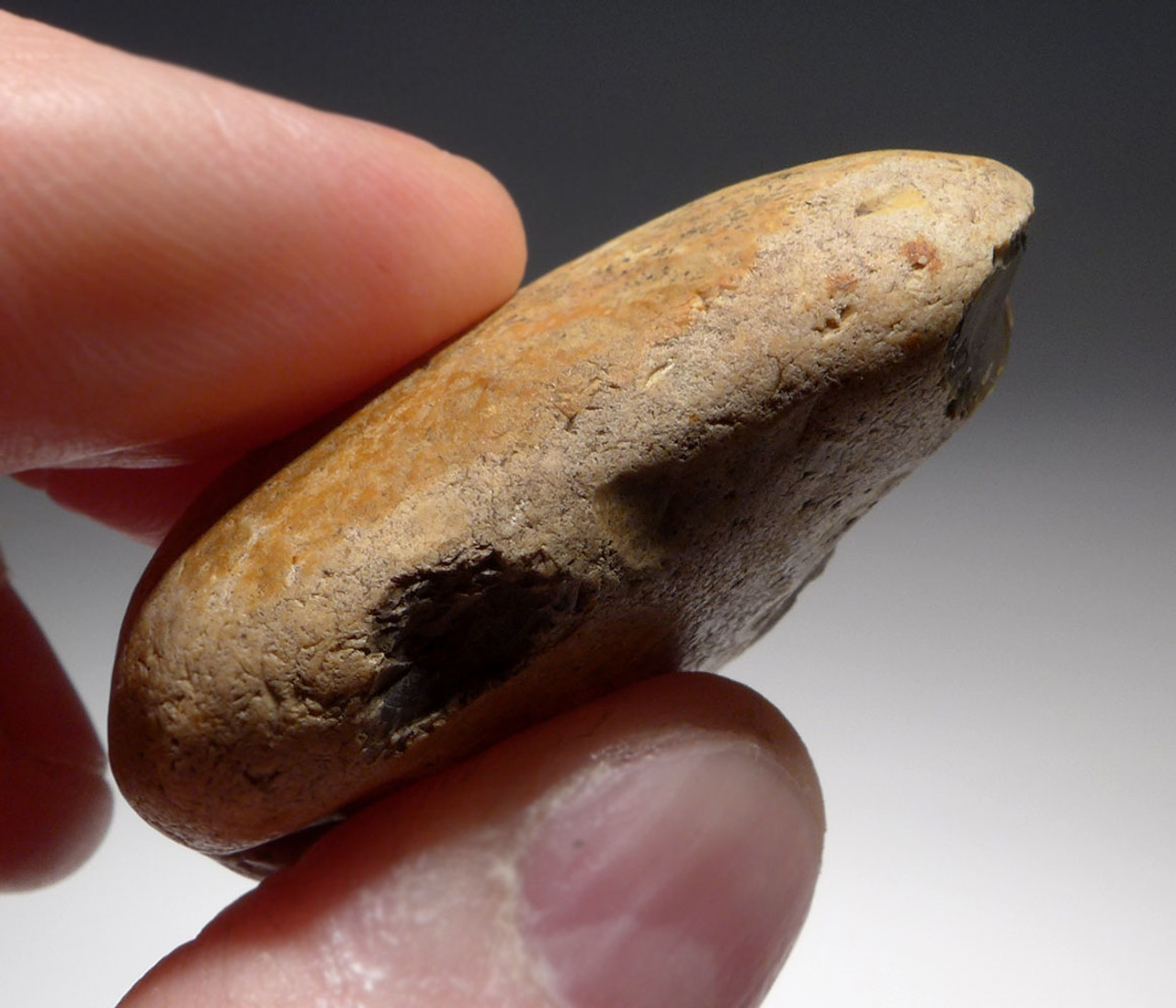 PREHISTORIC ENGLAND OLDOWAN PEBBLE TOOL SCRAPER FROM FAMOUS HAPPISBURGH FOOTPRINTS REGION  *PB158