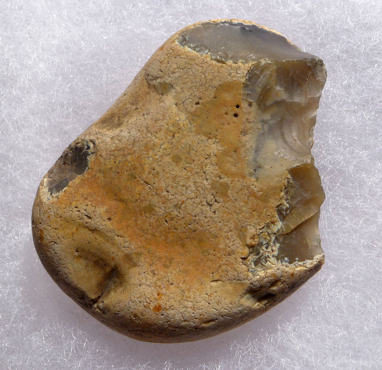 PREHISTORIC ENGLAND OLDOWAN PEBBLE TOOL SCRAPER FROM FAMOUS HAPPISBURGH FOOTPRINTS REGION  *PB158