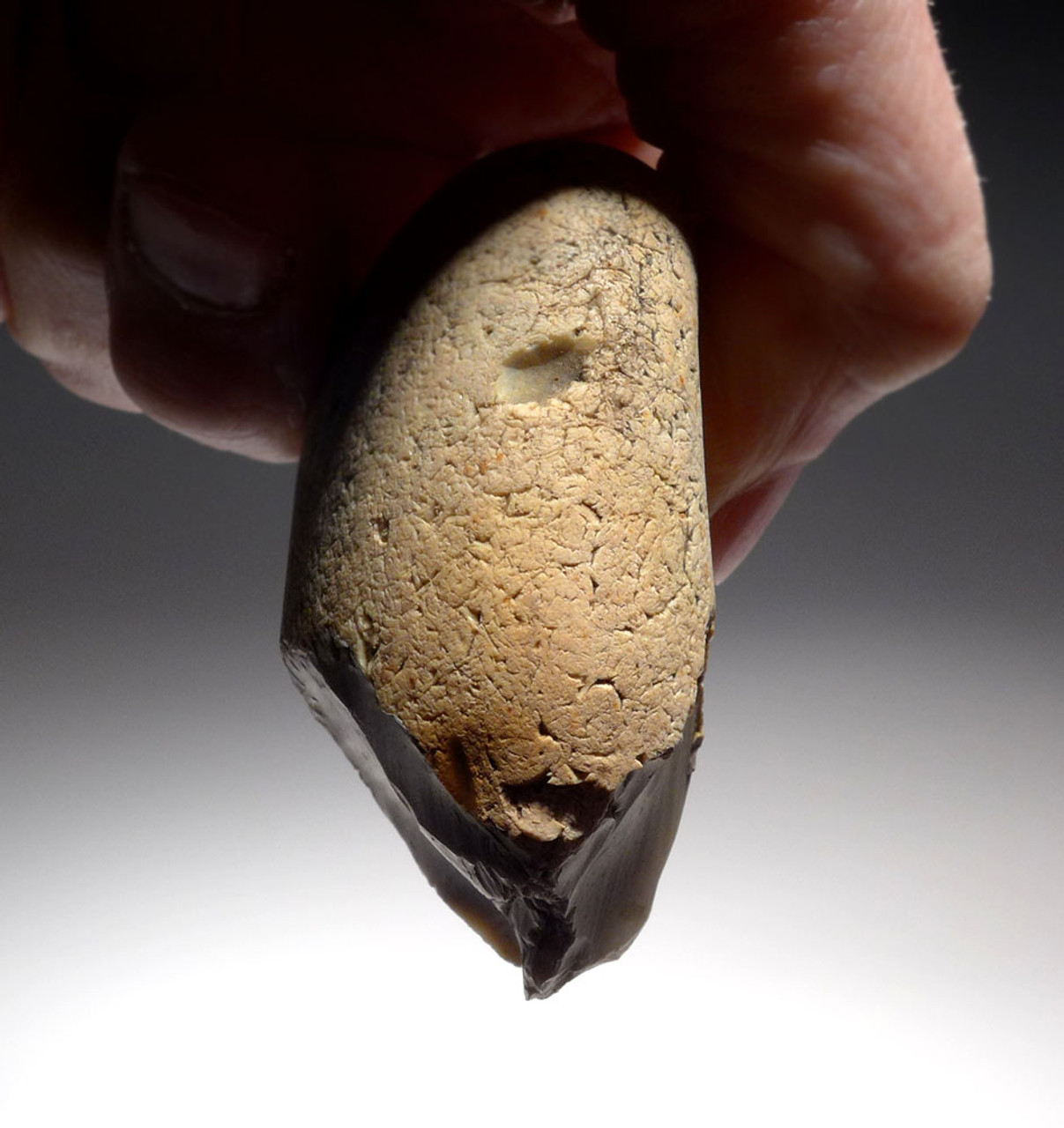 EARLIEST HUMAN STONE AGE ENGLAND OLDOWAN PEBBLE CHOPPER AXE FROM FAMOUS HAPPISBURGH FOOTPRINTS REGION  *PB163