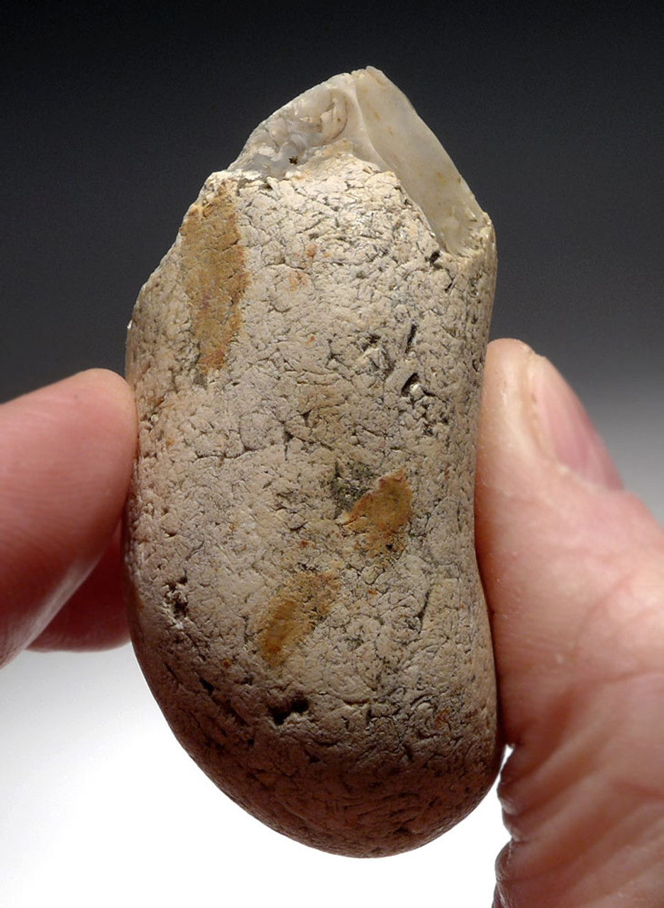 EARLIEST HUMAN STONE AGE ENGLAND OLDOWAN PEBBLE CHOPPER AXE FROM FAMOUS HAPPISBURGH FOOTPRINTS REGION  *PB163