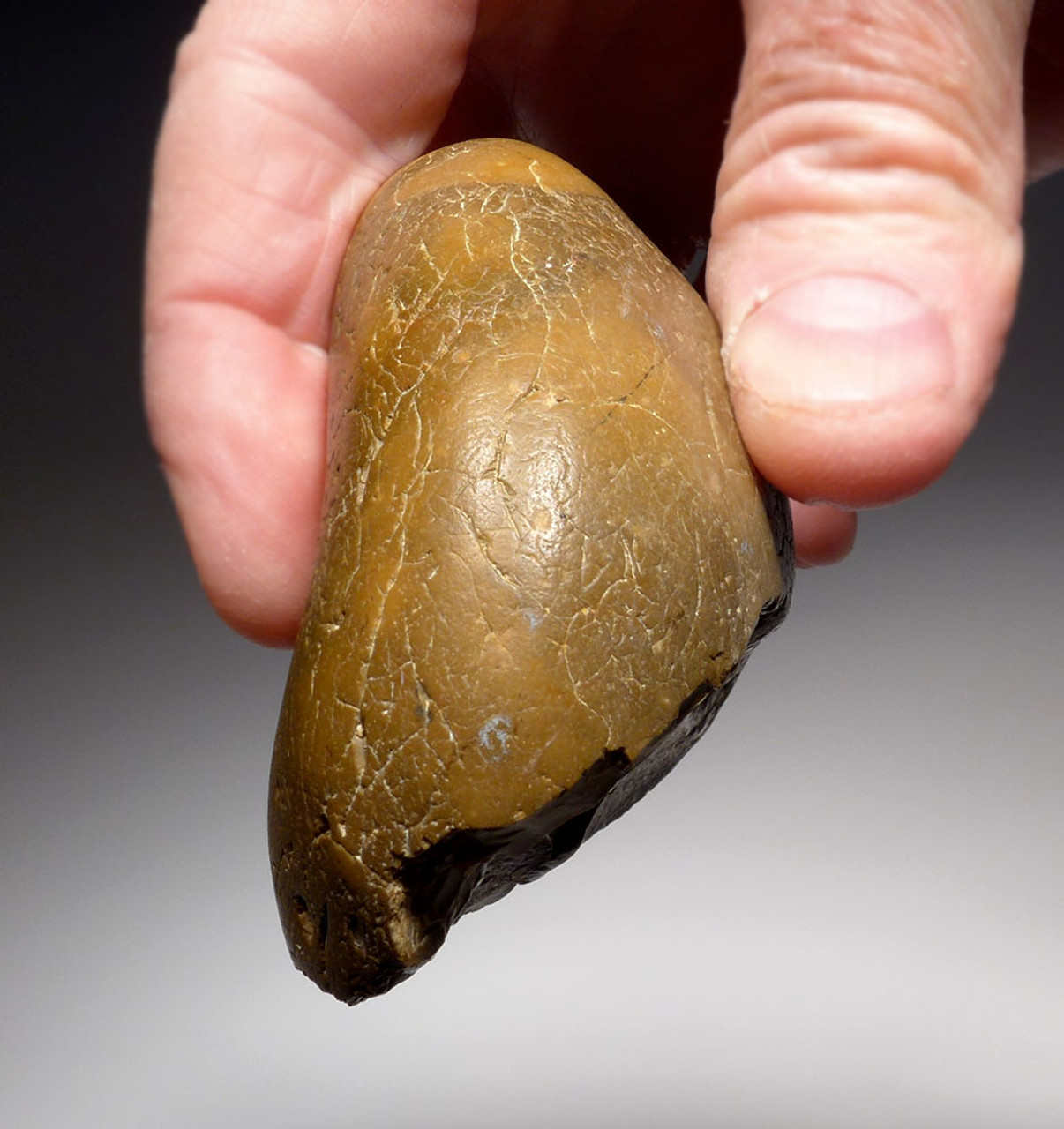 RARE FEATURE BRITISH OLDOWAN PEBBLE CHOPPER AXE FROM OLDEST EUROPEAN HUMAN FOOTPRINT REGION  *PB168