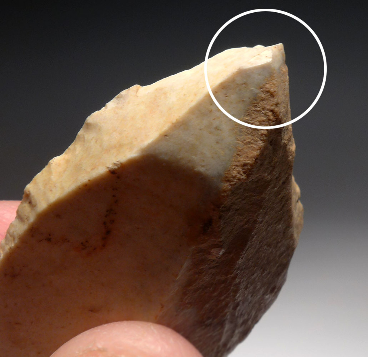 CRO-MAGNON UPPER PALEOLITHIC AURIGNACIAN BURIN ART GRAVER TOOL FROM FAMOUS LA ROCHETTE SITE FRANCE  *UP038