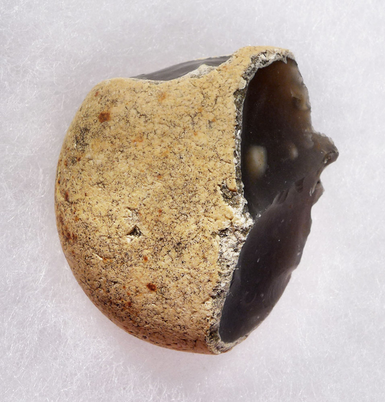 STONE AGE ENGLAND HOMO ANTECESSOR OLDOWAN PEBBLE TOOL SCRAPER FROM FAMOUS HAPPISBURGH FOOTPRINTS REGION  *PB156