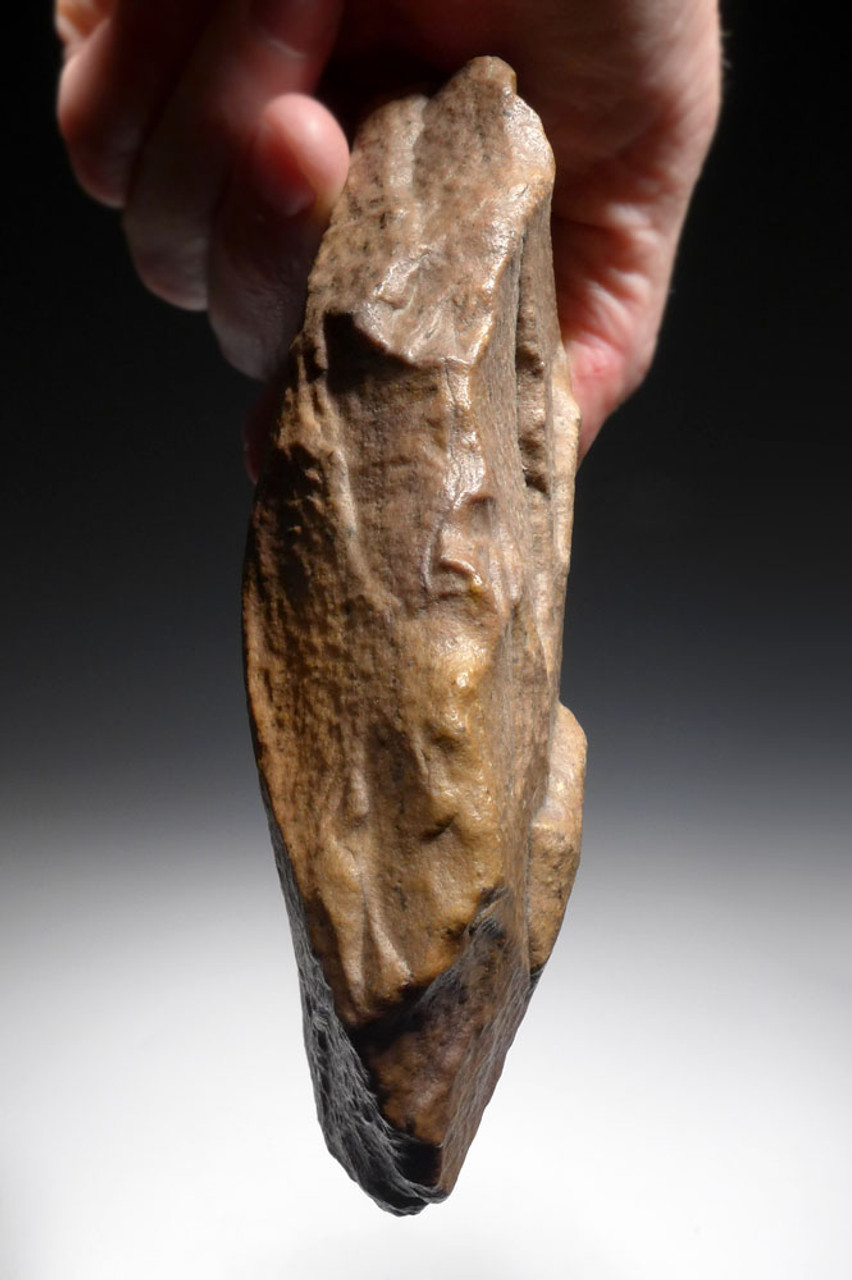 EXCEPTIONAL BONE-SMASHING CLEAVER HAND AXE OF THE ACHEULEAN MADE BY HOMO ERGASTER  *ACH422