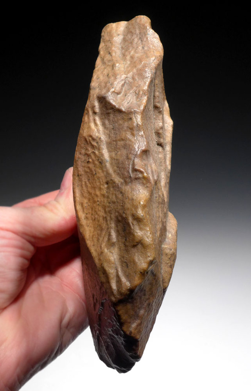 EXCEPTIONAL BONE-SMASHING CLEAVER HAND AXE OF THE ACHEULEAN MADE BY HOMO ERGASTER  *ACH422