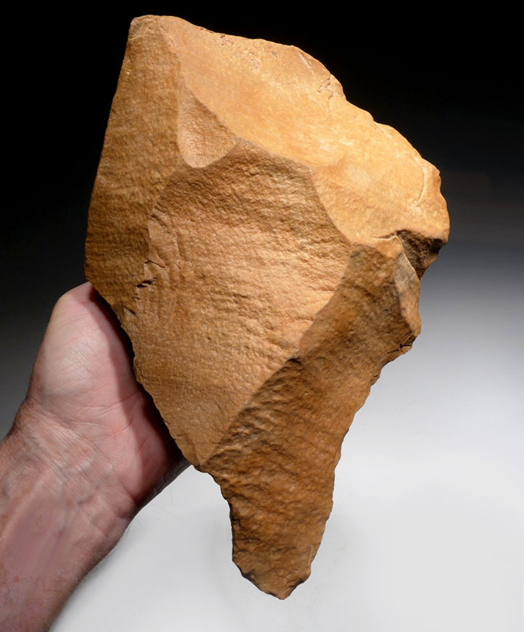 ENORMOUS MUSEUM-CLASS HOMO ERECTUS ELEPHANT KILLER HAND AXE FROM THE ACHEULEAN  *ACH429