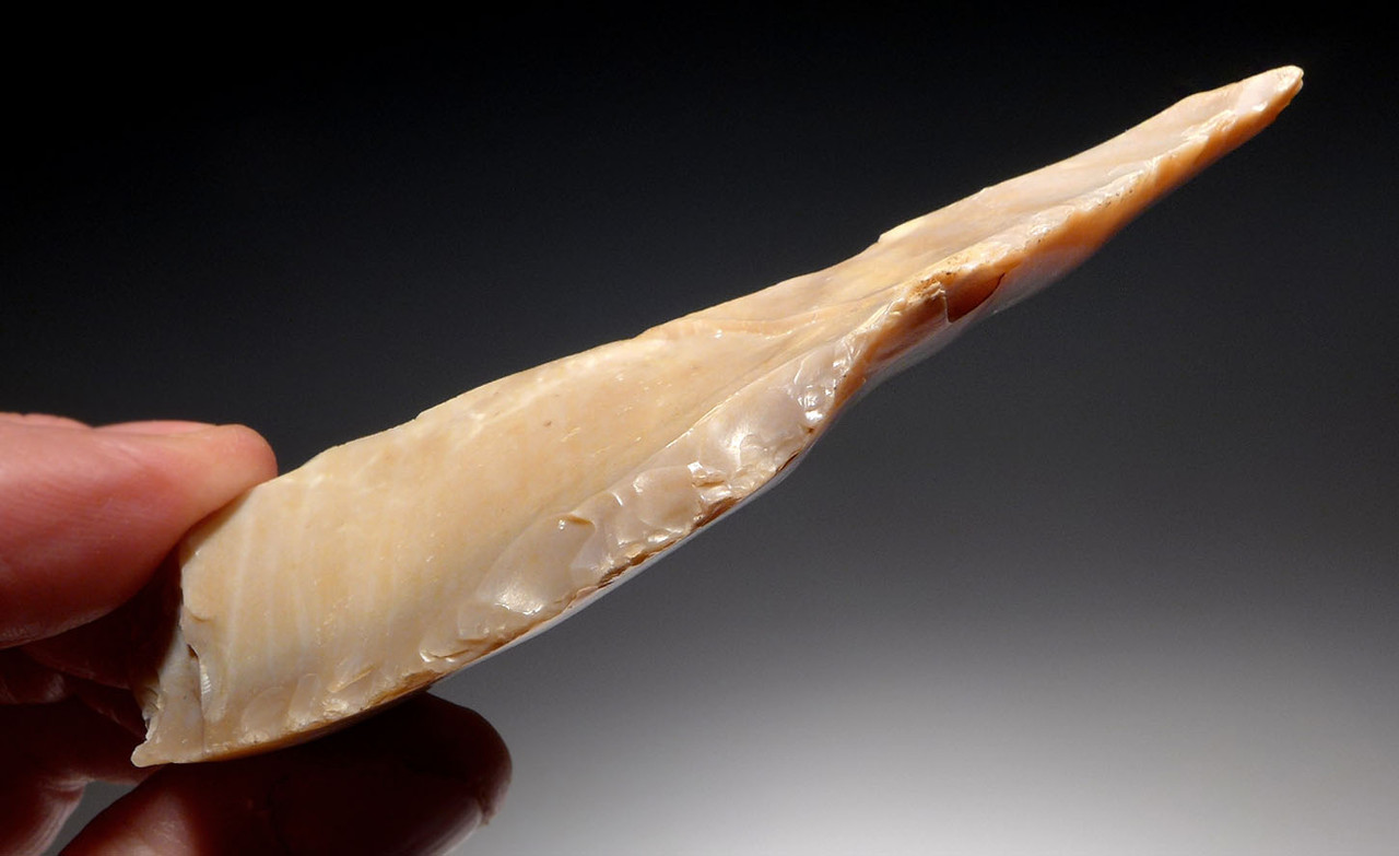 FINEST LARGE CAPSIAN NEOLITHIC FLINT BORER FLAKE TOOL FROM AFRICA  *CAP276