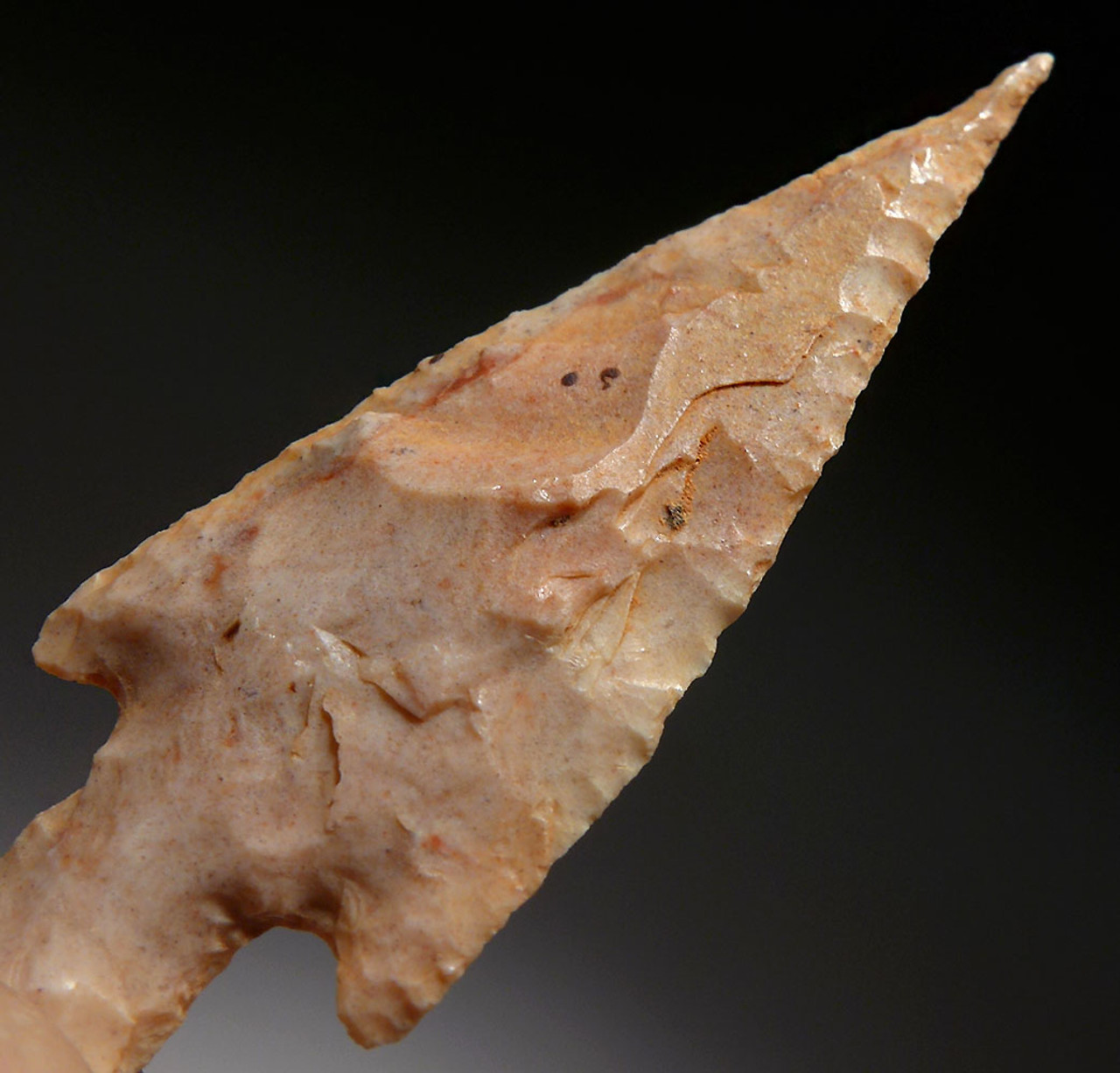 FINEST MOTTLED PINK TAPERED NEEDLE TIP ARROWHEAD OF THE CAPSIAN AFRICAN NEOLITHIC  *CAP279