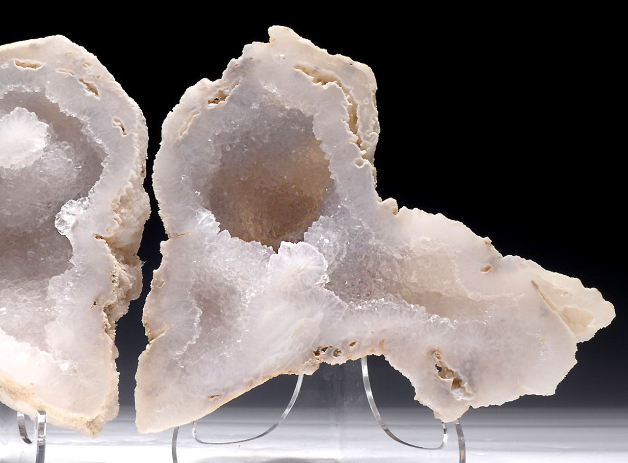 COR121 - ULTRA-RARE LARGE  "ICE CAVE" COMPLETE FOSSIL CORAL COLONY GEODE WITH LARGE QUARTZ CRYSTALS LINING CAVITY