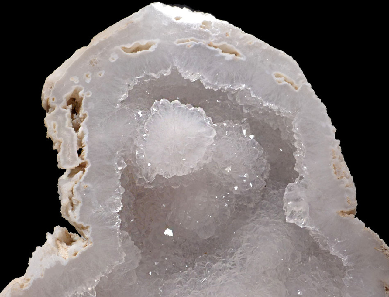 COR121 - ULTRA-RARE LARGE  "ICE CAVE" COMPLETE FOSSIL CORAL COLONY GEODE WITH LARGE QUARTZ CRYSTALS LINING CAVITY