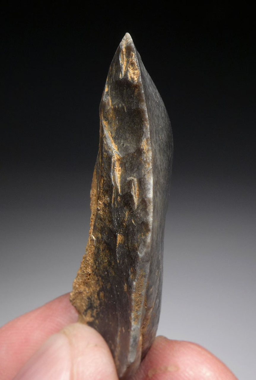 CHOICE NEANDERTHAL MOUSTERIAN BACKED KNIFE FLAKE TOOL FROM DORDOGNE FRANCE  *M434