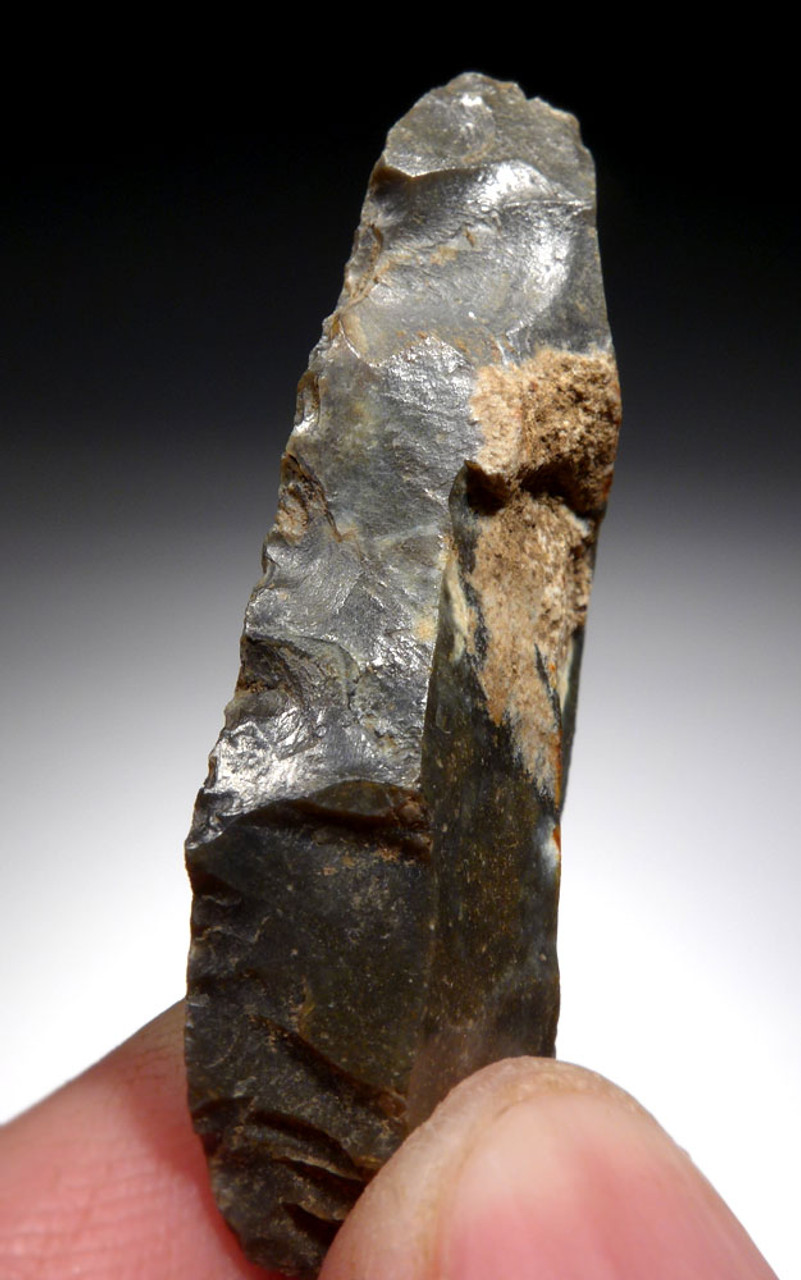 NEANDERTHAL MOUSTERIAN BLADE FLAKE TOOL FROM DORDOGNE FRANCE  *M429