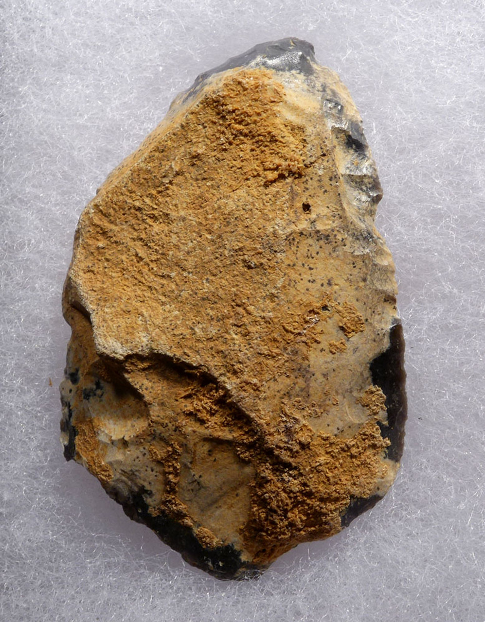 LARGE NEANDERTHAL MOUSTERIAN CONVERGENT SIDE SCRAPER FLAKE TOOL FROM DORDOGNE FRANCE  *M428