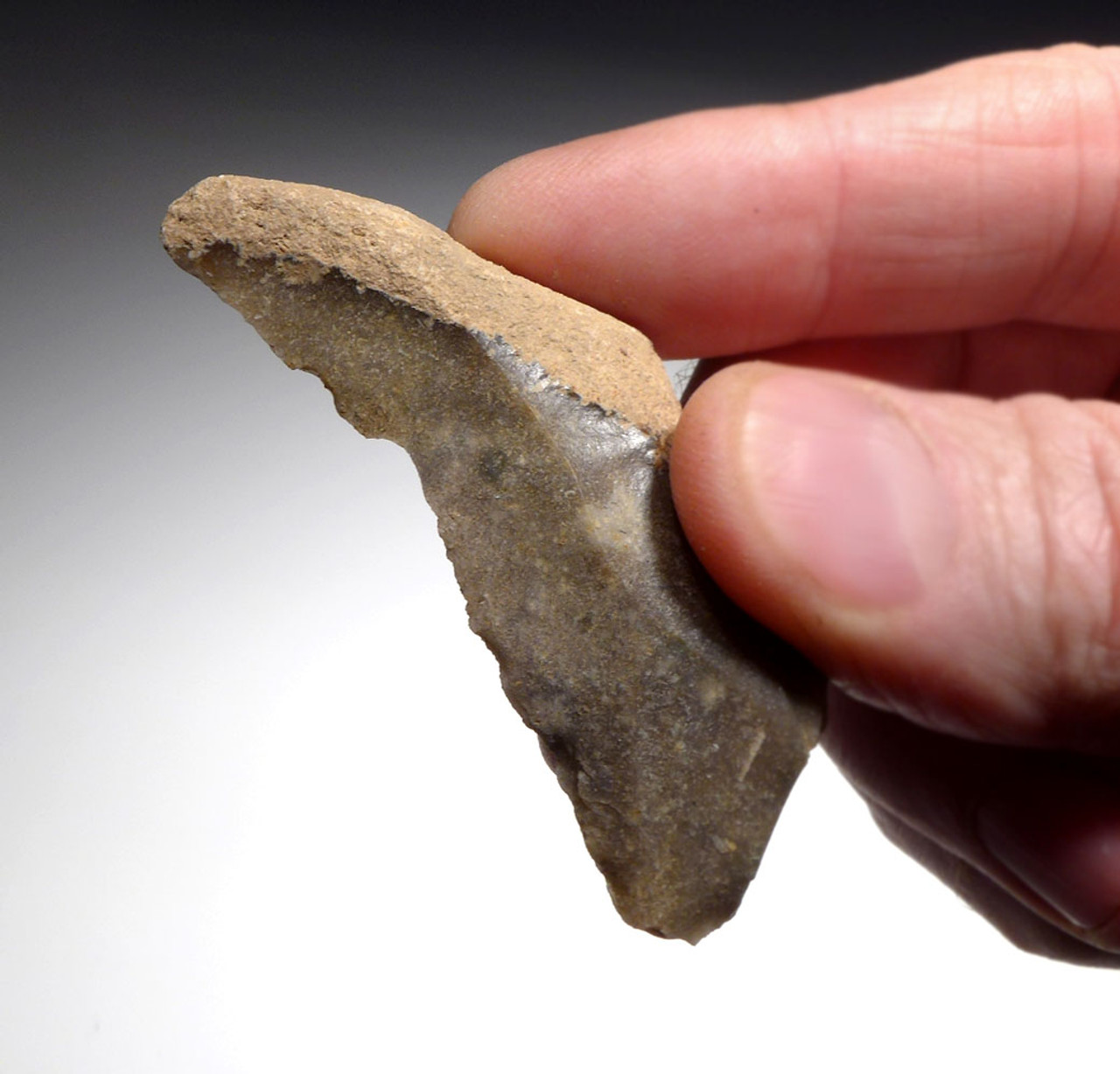 SUPERB NEANDERTHAL MOUSTERIAN NATURALLY BACKED KNIFE FLAKE TOOL FROM DORDOGNE FRANCE  *M430