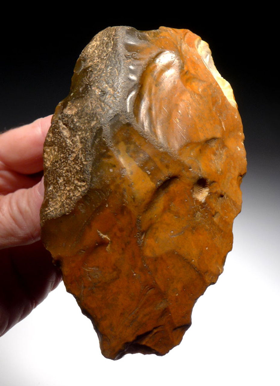 RARE PUMPKIN ORANGE BRITISH LOWER PALEOLITHIC ACHEULEAN HAND AXE FROM ENGLAND  *ACH441