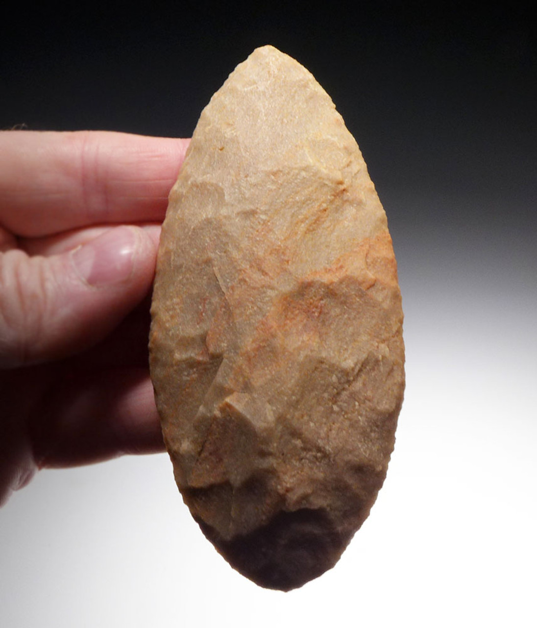 SUPERB LARGE PRESTIGE BROAD LEAF BLADE FROM THE TENERIAN AFRICAN NEOLITHIC PEOPLE OF THE GREEN SAHARA *CAP309