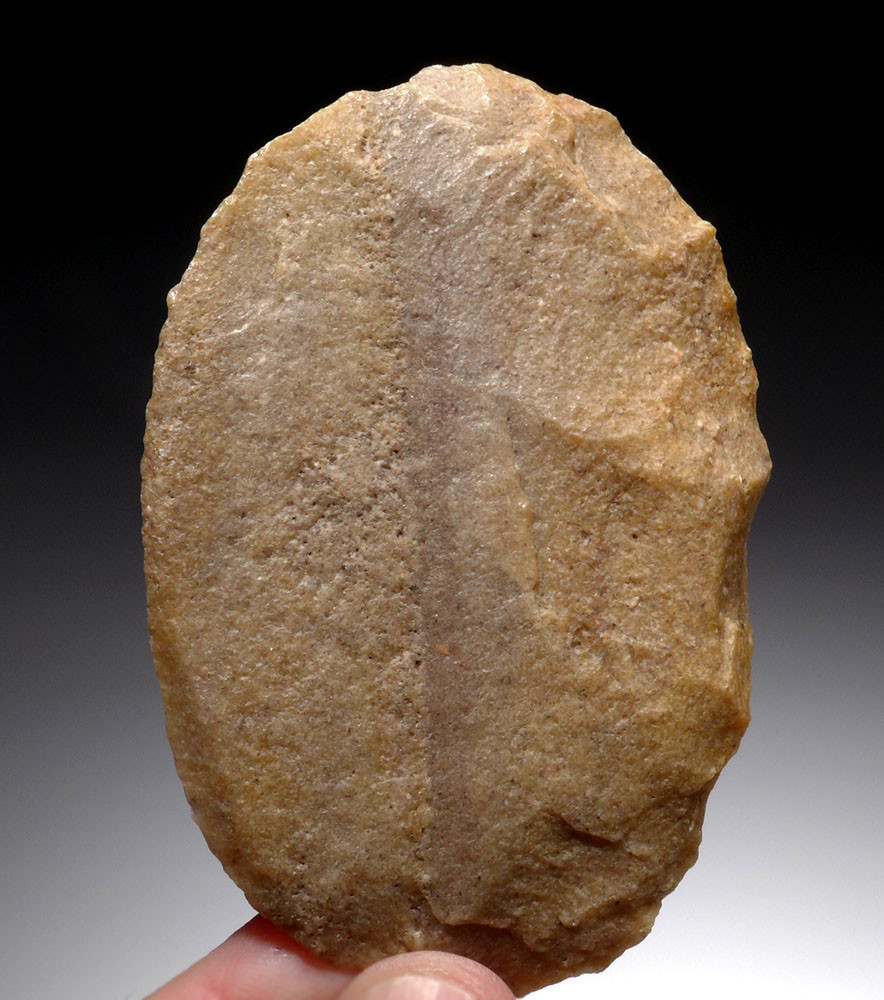 ASSOCIATED CACHE OF LARGE PRESTIGE FLAKE TOOLS FROM THE TENERIAN