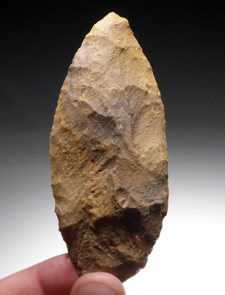 【激レア盤】Vibronics – Terror／African Stone ASSOCIATED CACHE OF LARGE PRESTIGE FLAKE TOOLS FROM THE TENERIAN