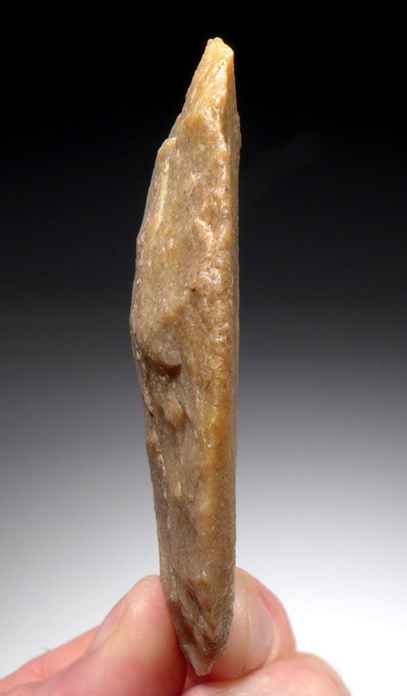 ASSOCIATED CACHE OF LARGE PRESTIGE FLAKE TOOLS FROM THE TENERIAN