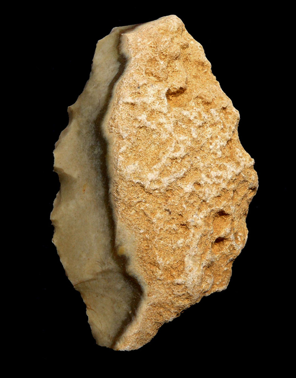 EXCEPTIONAL AESTHETIC FLINT NEANDERTHAL MOUSTERIAN SIDE SCRAPER FLAKE TOOL FROM CAEN FRANCE  *M436