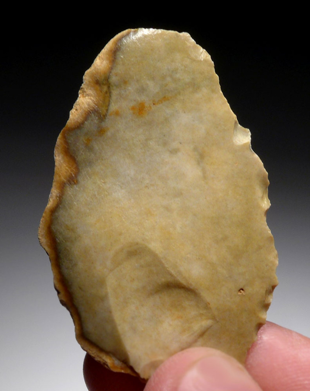 EXCEPTIONAL AESTHETIC FLINT NEANDERTHAL MOUSTERIAN SIDE SCRAPER FLAKE TOOL FROM CAEN FRANCE  *M436