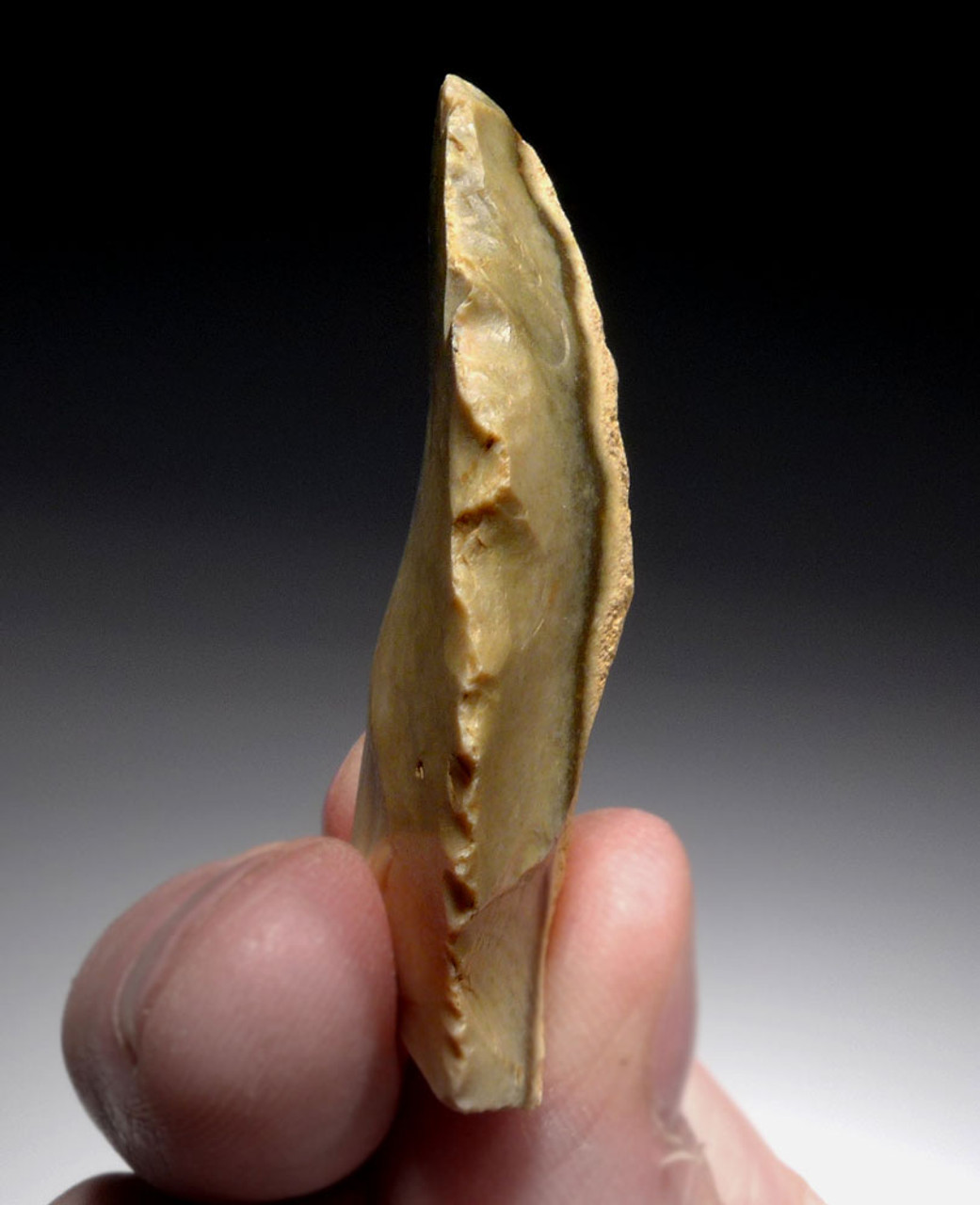 EXCEPTIONAL AESTHETIC FLINT NEANDERTHAL MOUSTERIAN SIDE SCRAPER FLAKE TOOL FROM CAEN FRANCE  *M436