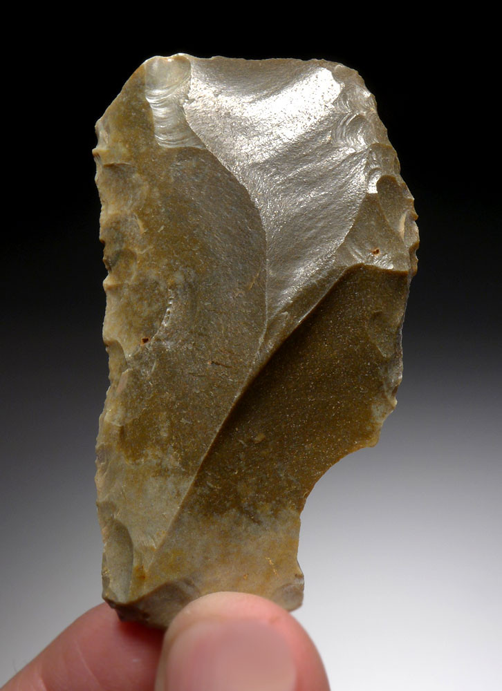 辻有希 STONE TOOLS Stone Tools at Arabian “Crossroads” Present Mysteries of Ancient