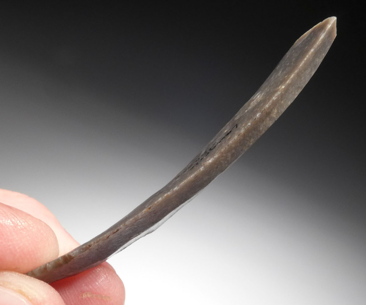 Gilles Sacksick、bolpot et grenade UPPER PALEOLITHIC FLINT BLADE TOOL FROM FAMOUS MAGDALENIAN