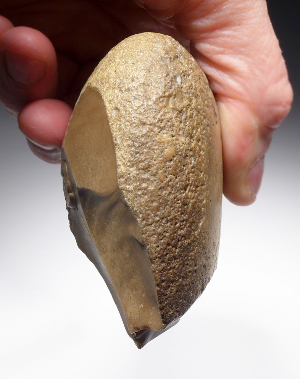 SPECTACULAR RARE OLDOWAN PEBBLE CHOPPER AXE FROM LOWER