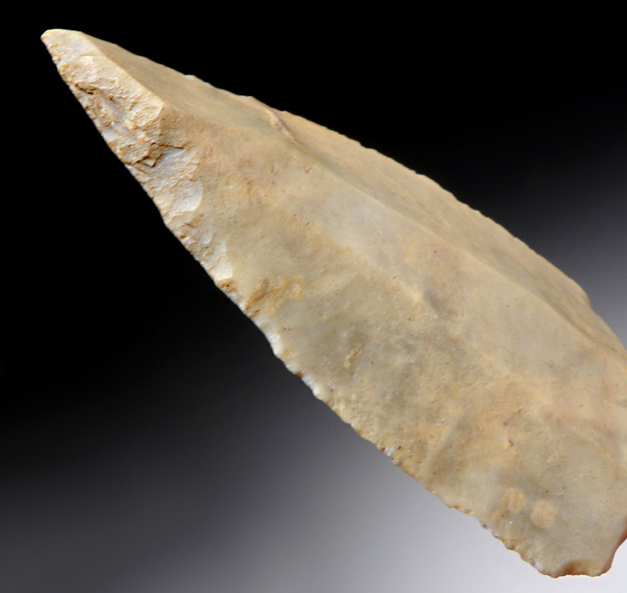 MAXIMUM SIZE FINEST UNIFACIAL TANGED CAPSIAN AFRICAN NEOLITHIC ARROWHEAD  *CAP331