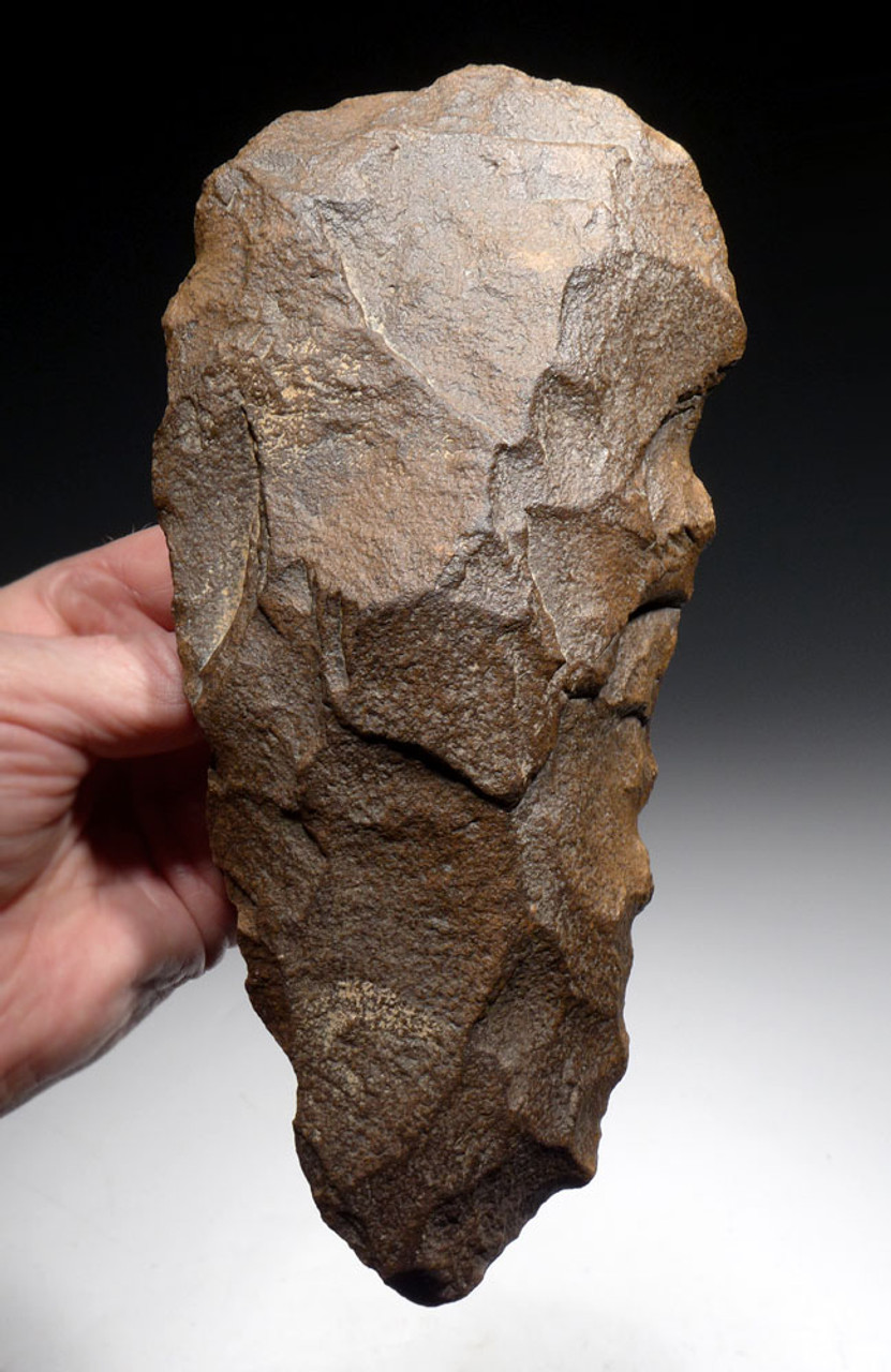 INVESTMENT-CLASS LARGE LANCEOLATE ACHEULEAN HAND AXE MADE BY HOMO ERGASTER  *ACH435