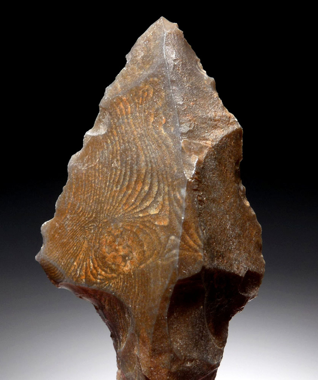 FINEST ATERIAN TANGED POINT OF RARE PETRIFIED WOOD - OLDEST KNOWN ARROWHEAD  *AT113