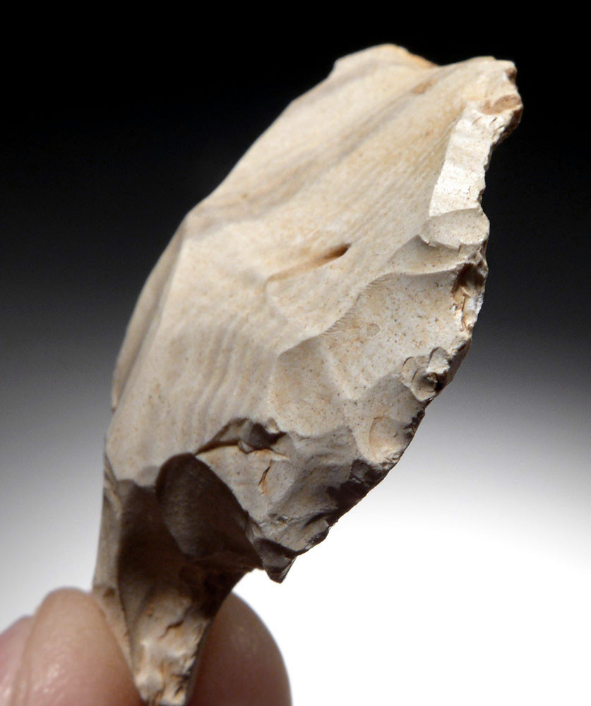 RARE WHITE PETRIFIED WOOD ATERIAN ARROWHEAD TO SCRAPER FROM