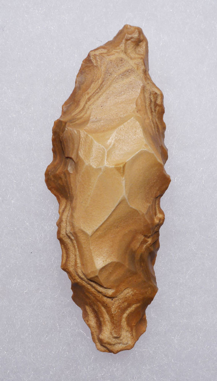 SMALL ATERIAN SAW DENTICULATE FLAKE TOOL FROM MIDDLE STONE AGE AFRICA  *AT124
