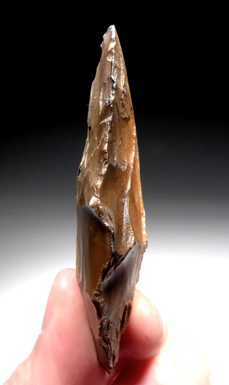 OUR FINEST LARGE ATERIAN BIFACIAL FOLIATE POINT SPEARHEAD FROM MIDDLE STONE AGE AFRICA  *AT126