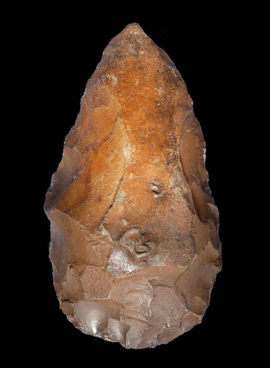 OUR FINEST LARGE ATERIAN BIFACIAL FOLIATE POINT SPEARHEAD FROM MIDDLE STONE AGE AFRICA  *AT126