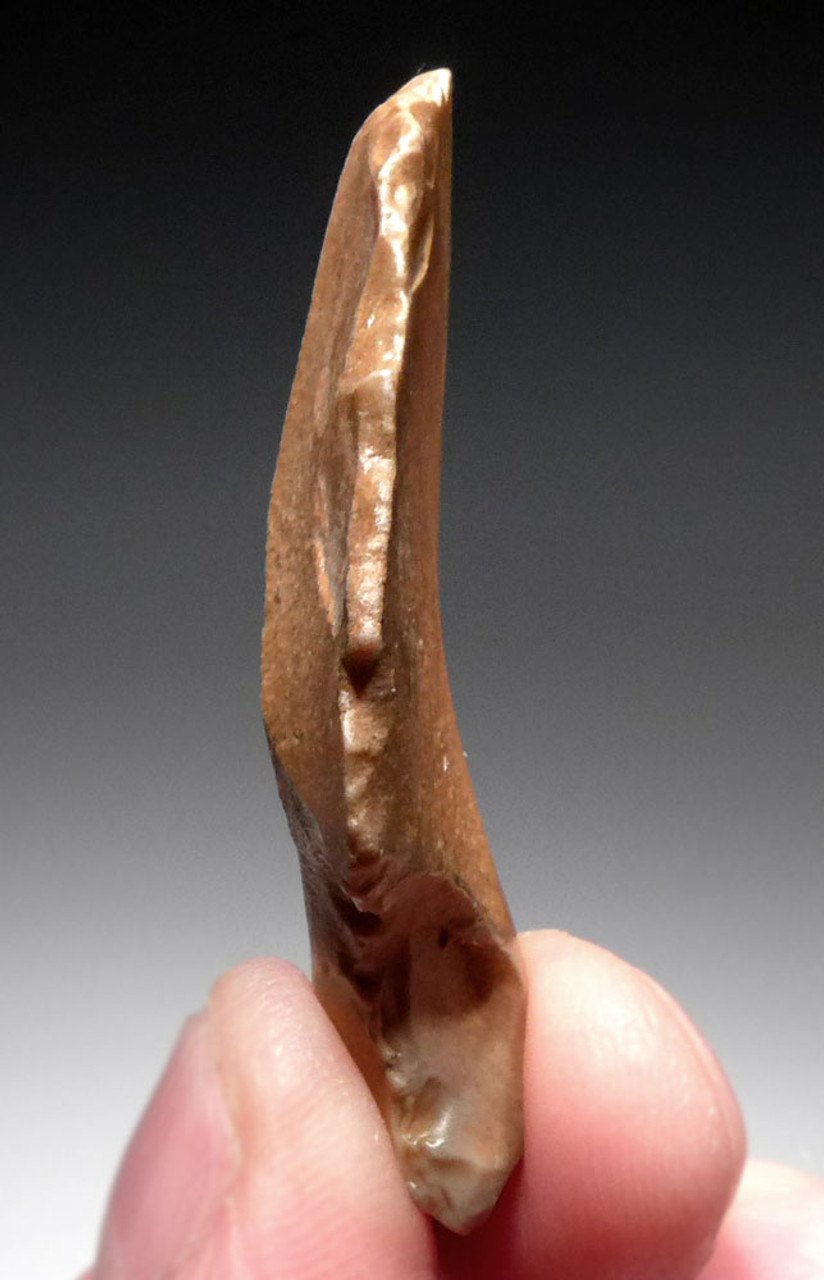 MIDDLE STONE AGE AFRICAN ATERIAN TANGED POINT WITH EVIDENCE OF USE  *AT127