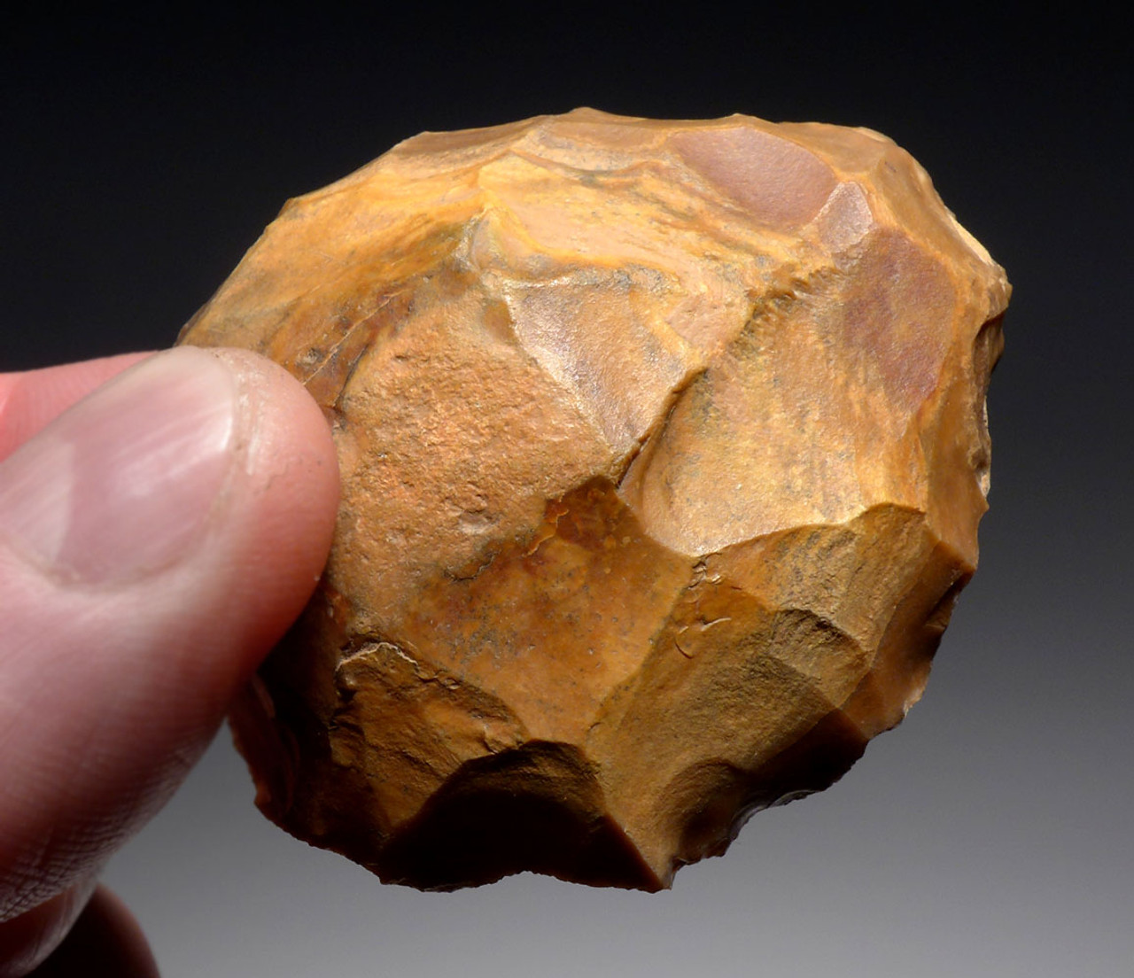 MIDDLE STONE AGE ATERIAN TURTLE BACK DISCOIDAL SCRAPER FROM PREHISTORIC AFRICA  *AT141