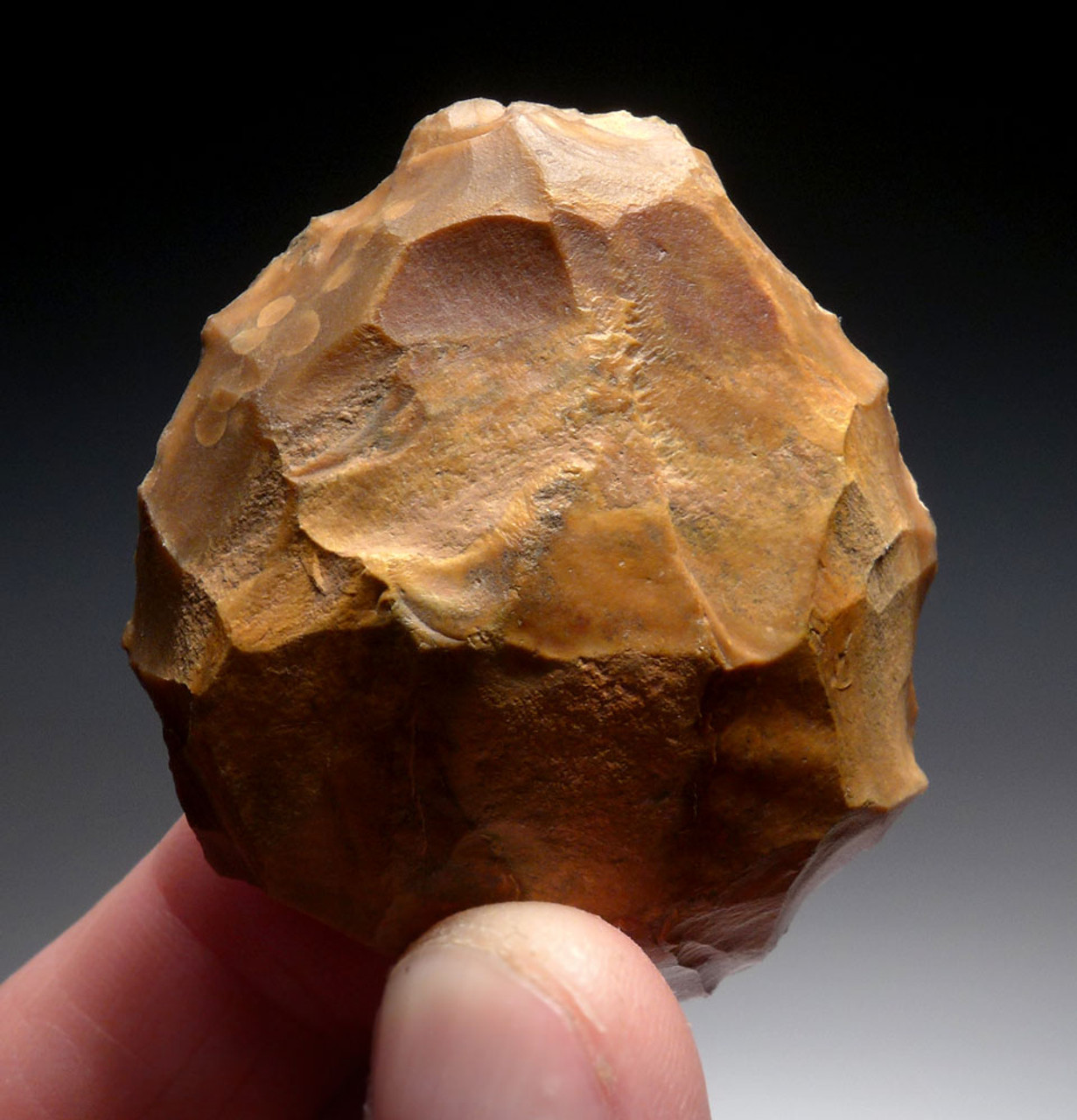 MIDDLE STONE AGE ATERIAN TURTLE BACK DISCOIDAL SCRAPER FROM PREHISTORIC AFRICA  *AT141