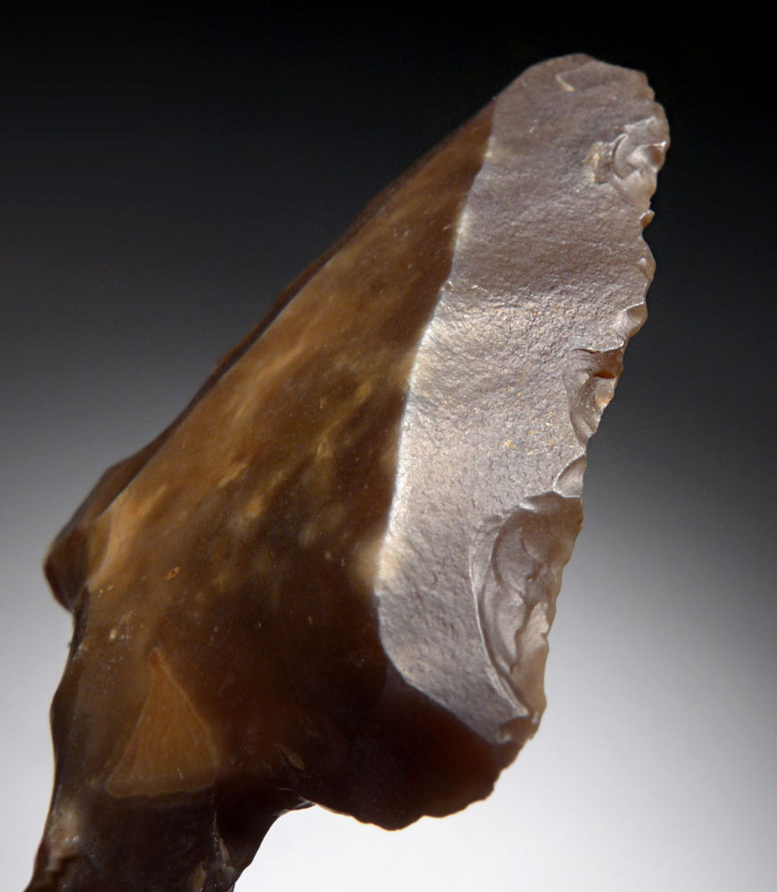  EXCELLENT MIDDLE STONE AGE ATERIAN TANGED POINT - OLDEST KNOWN ARROWHEAD  *AT144