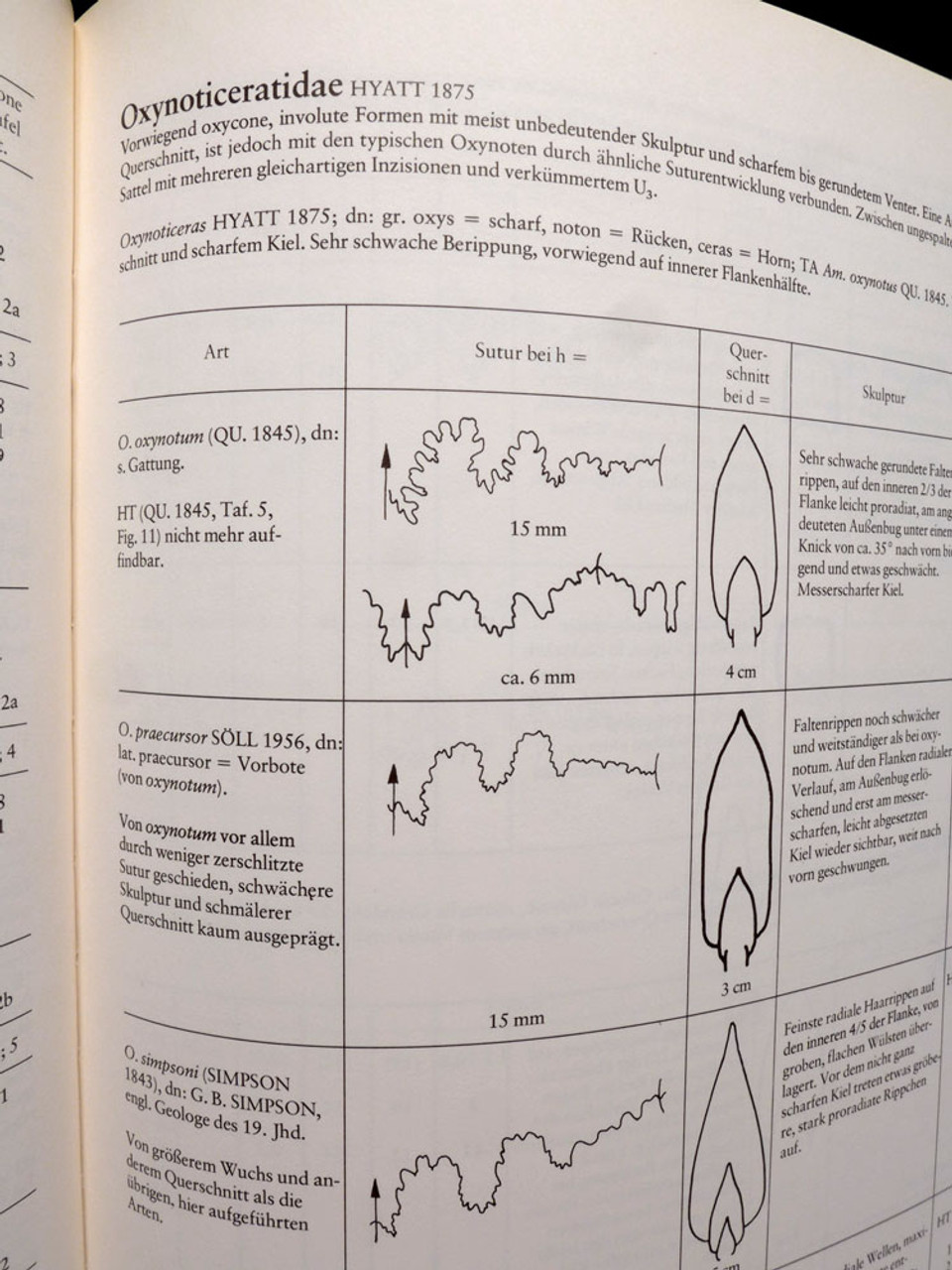 DIE AMMONITEN DES SUDDEUTSCHEN LIAS BOOK  *BK24